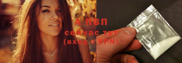 трава Белокуриха