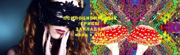 гидра Белоозёрский