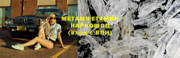 трава Белокуриха