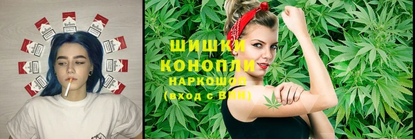 таблы Богородицк