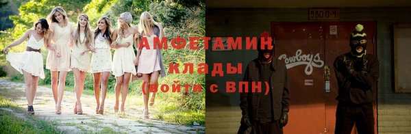 трава Белокуриха