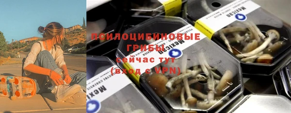 ГАЛЛЮЦИНОГЕННЫЕ ГРИБЫ Беломорск