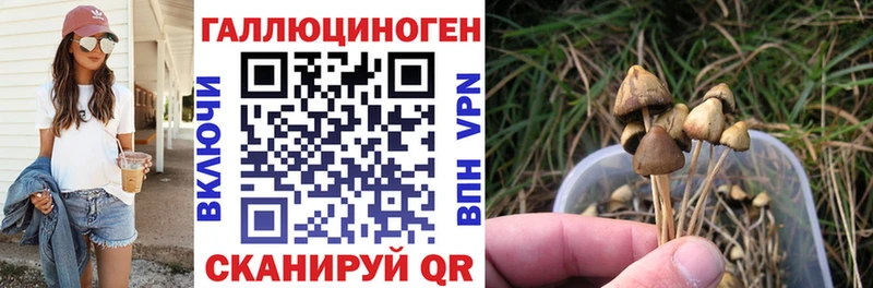даркнет сайт  Болгар  Галлюциногенные грибы ЛСД 